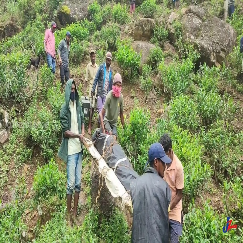 woman-missing-for-6-months-rescued-from-burial:-stir-in-nurelia