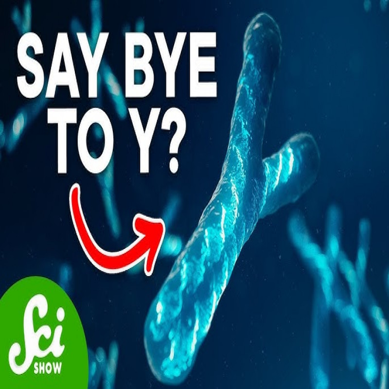 is-there-no-race-of-men--dwindling-y-chromosome!---shocking-information-in-the-study!