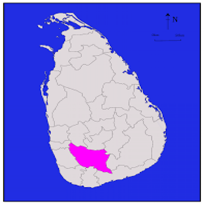 president-election-result-2024