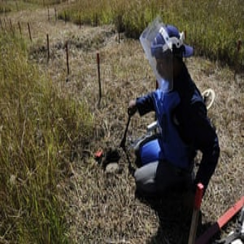 sharp-company-in-humanitarian-demining-in-north