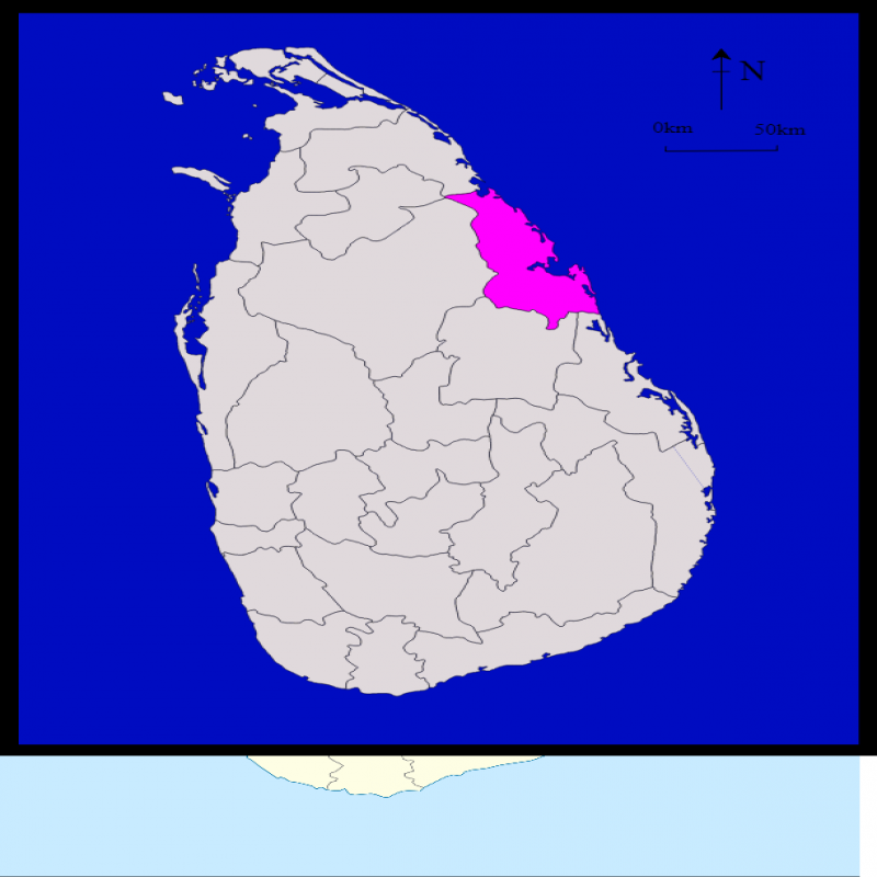 trincomalee-postal-raw-ballot-results-trincomalee-postal-raw-ballot-results-திருகோணமலை-அஞ்சல்-மூல-வாக்களிப்பு-முடிவுகள்-trincomalee-postal-raw-vote-results-திருகோணமலை-அஞ்சல்-மூல-வாக்கு-முடிவுகள்