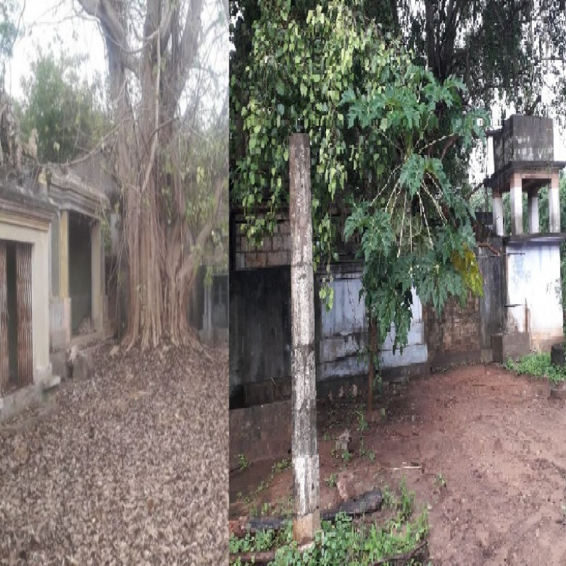 people-allowed-to-visit-every-day-jaffna-temple