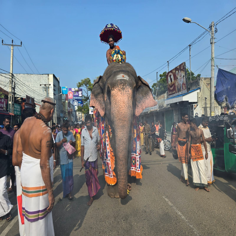 jaffna-elephants-festival