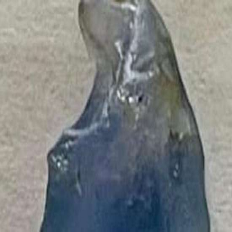 sri-lankan-shaped-gem-stone-found