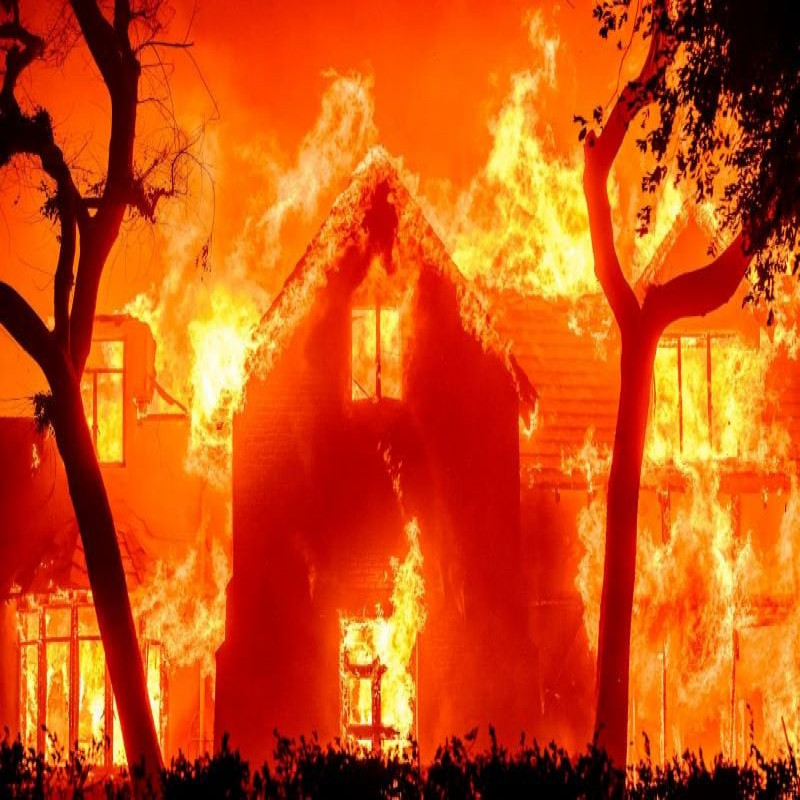the-los-angeles-wildfires-that-have-killed-24-people-so-far---how-did-they-start-and-spread