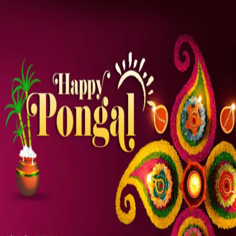 thai-pongal-festival-celebrated-with-great-enthusiasm-in-sri-lanka