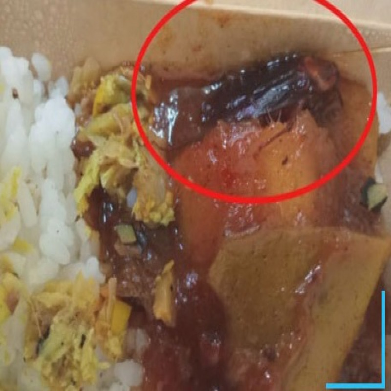 cockroach-in-food:-incident-at-colombo-port-small-food-market