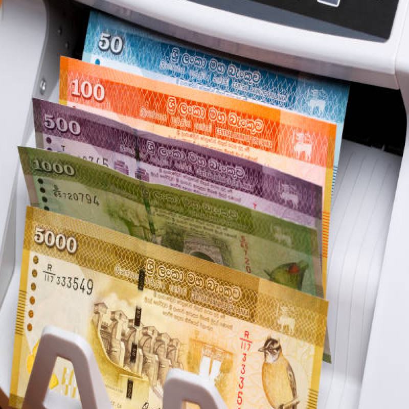 new-govpay-scheme-introduced-by-the-govt-sri-lanka