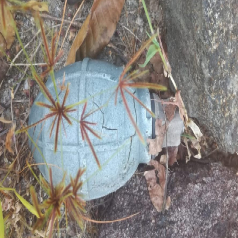 two-bombs-recovered-in-ambawatha-areas