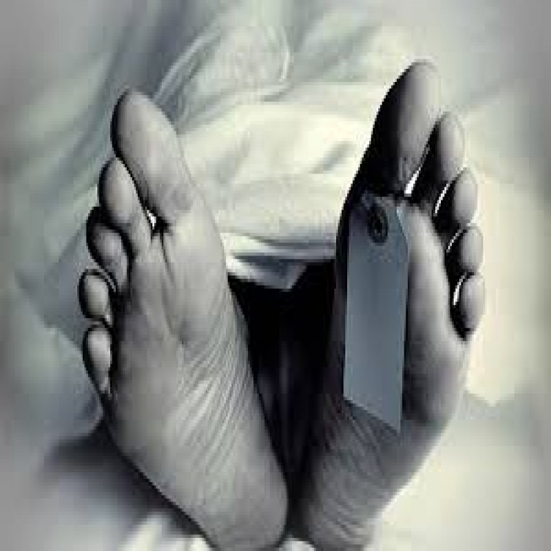 one-person-killed-after-being-hit-by-mp's-vehicle