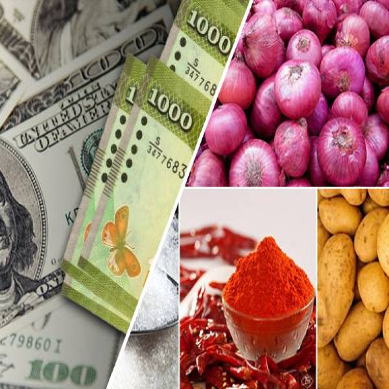 essential-food-item-price-reduce-budget-2025