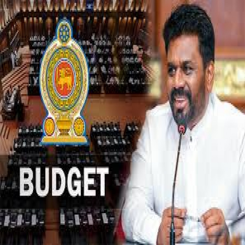 anura-budget