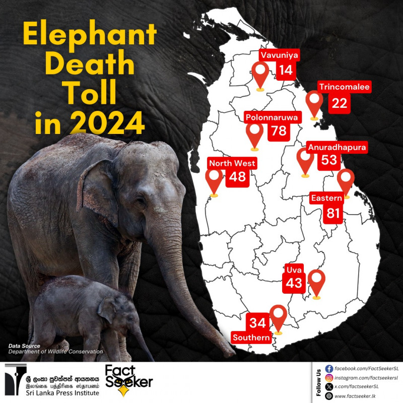 the-growing-elephant-human-conflict