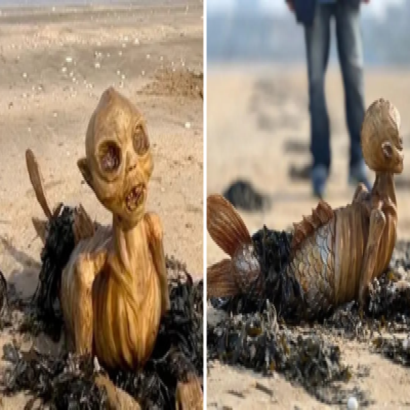 mysterious-creature-washed-ashore---people-are-amazed