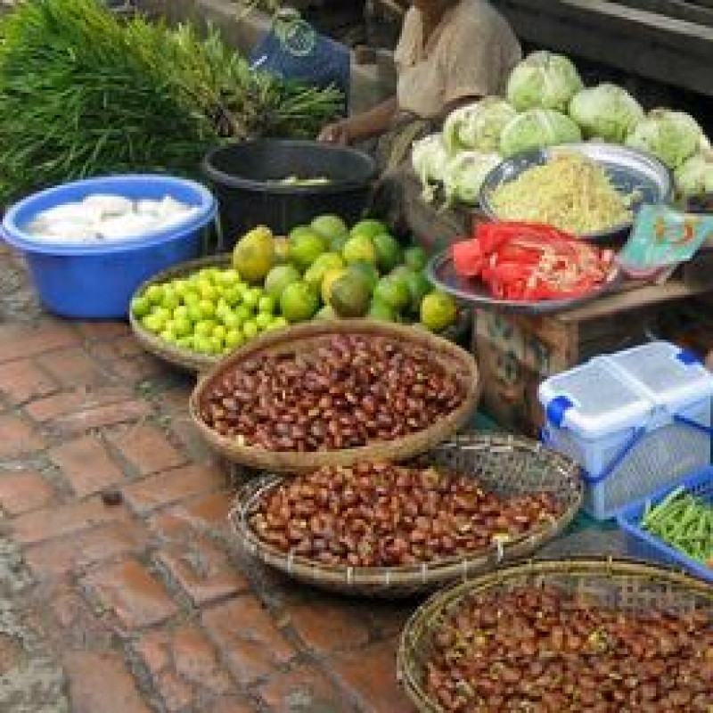 food-mafias-rampage-in-sri-lanka:-warning-that-food-prices-will-rise