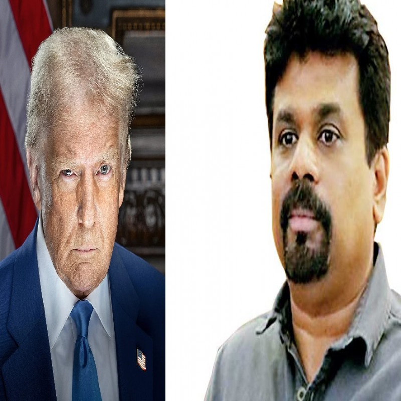 "tax-'pests'-to-the-us!"-:-urgent-advice-of-the-sri-lankan-government
