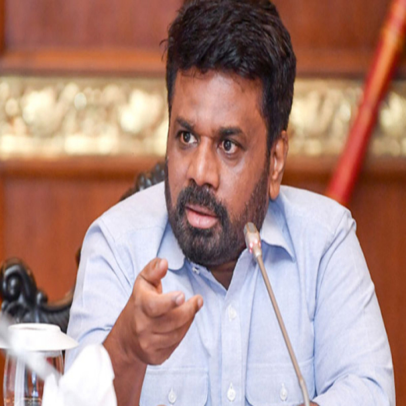 long-list-ready-anura