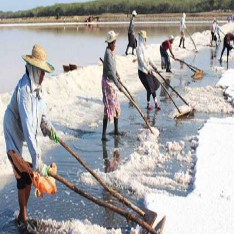 the-controversial-issue-of-salt:-government's-main-request-to-the-public