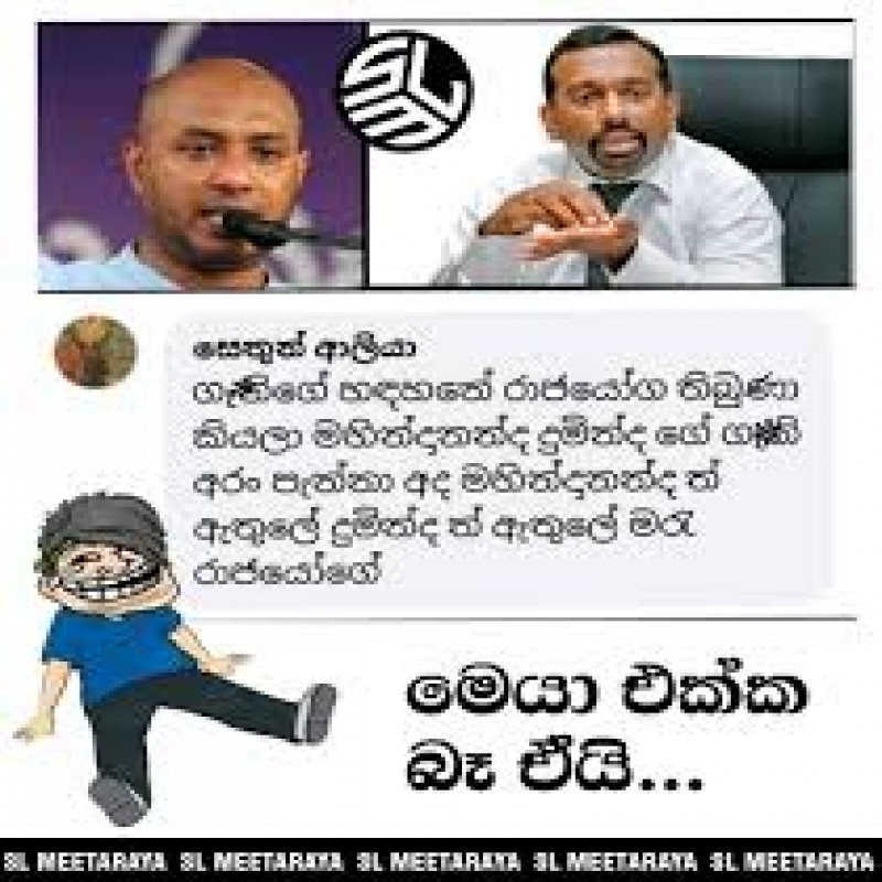 "don't-put-mahindananda-and-dumintha-dissanayake-in-the-same-prison-cage."-:-information-released-by-the-minister