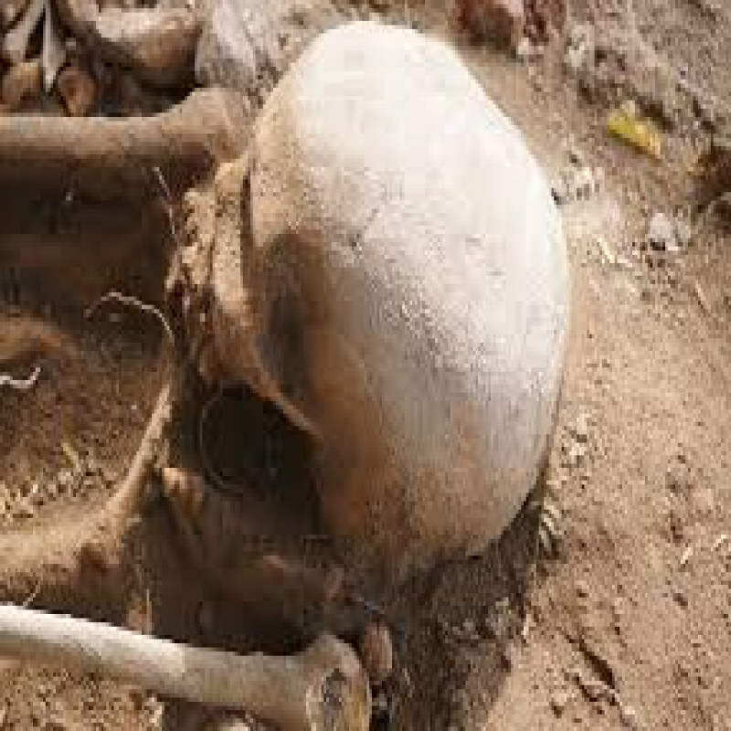"were-they-beaten-to-death-"-22-skeletons-found:-court-action-order