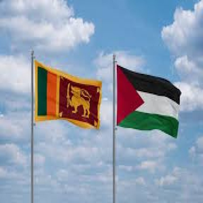 sri-lanka-voted-in-favor-of-gaza,-boycotted-by-india