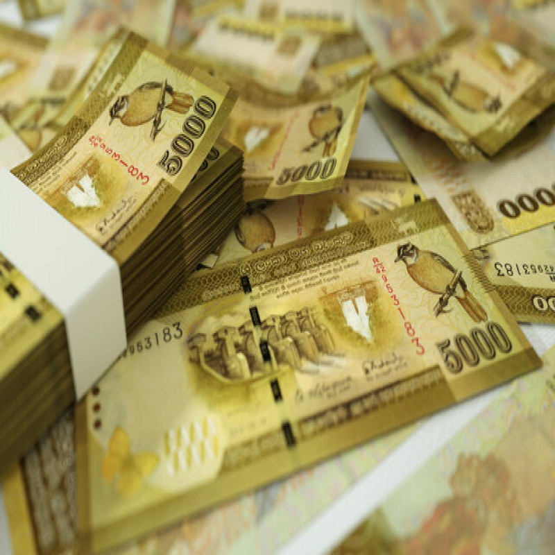 'earn-a-lot-of-money..':-urgent-request-to-sri-lankans