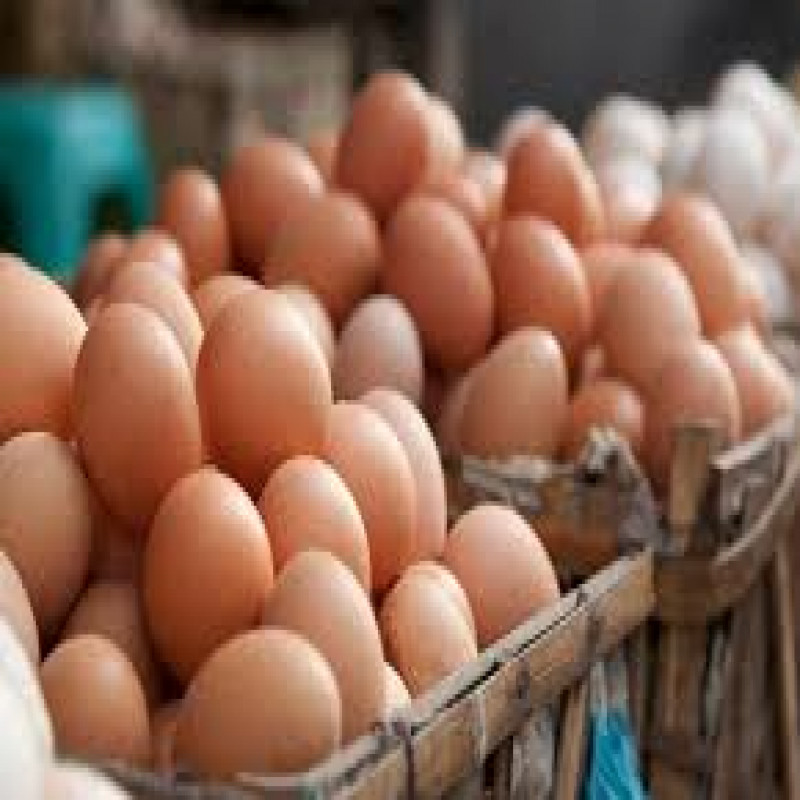 "there-is-great-danger-if-you-wash-chicken-eggs...":-warning-to-sri-lankans