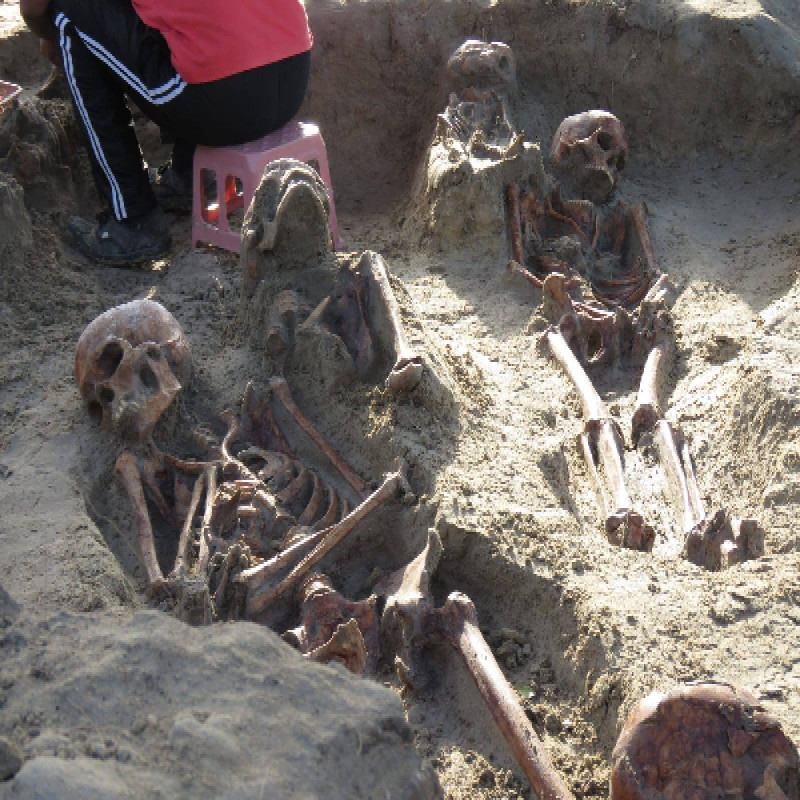 "discovered-skeletons-for-public-viewing-until-the-5th."-:-judge's-important-decision