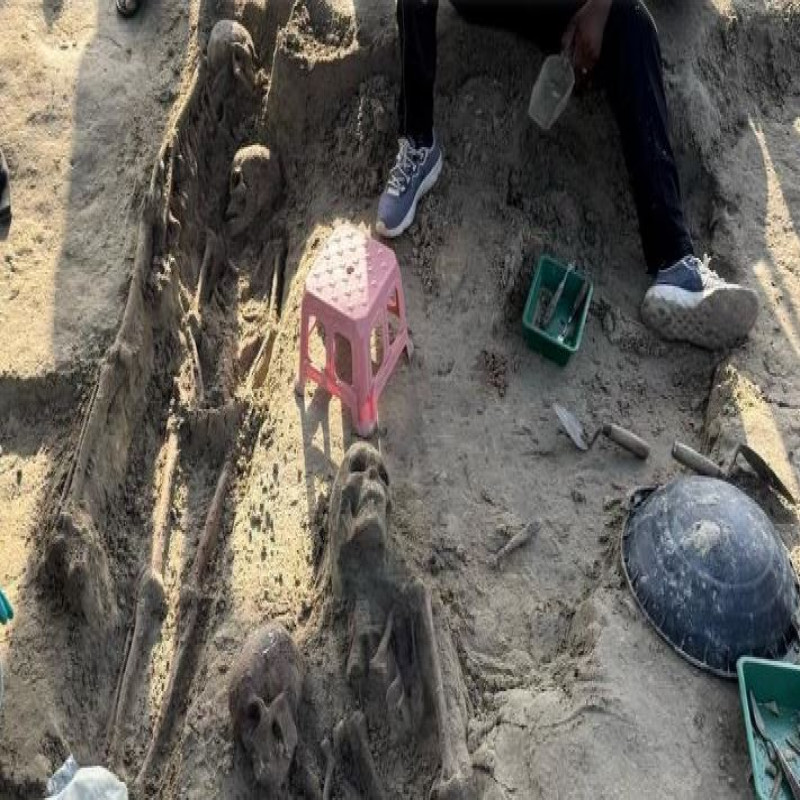 166-human-skeletons-recovered-chemmani-mass-grave